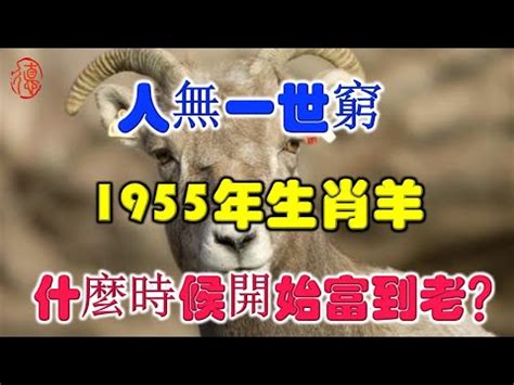 1955屬什麼|1955年屬羊是什麼命 1955年出生人的命運